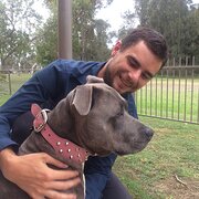 House Sitter - Responsible, trustworthy animal lover