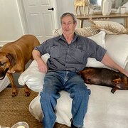 House Sitter - Russell