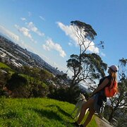 House Sitter - Genuine Pet Professional 