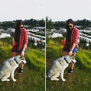 House Sitter - Sitter with over 10 years experience