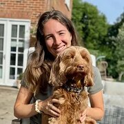 House Sitter - Experienced pet sitter