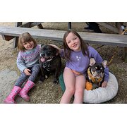 Home Owner wanting sitter in Launceston, Tasmania