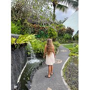 House Sitter - Ell~ Nature and animal lover. 