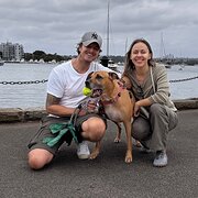 House Sitter - Lee & Yulia · Caring · Attentive