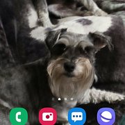 Home Owner wanting sitter in Gold Coast , Queensland