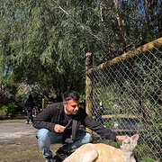 House Sitter - Damian 