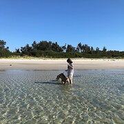 House Sitter - Michelle