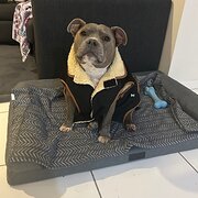 Home Owner wanting sitter in , Queensland