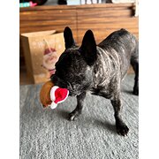 Home Owner wanting sitter in , New South Wales