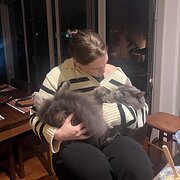 House Sitter - Farm-Raised Nurse, Caring for Pets 