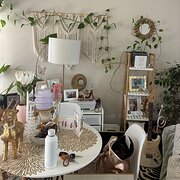 Home Owner wanting sitter in Perth, Western Australia