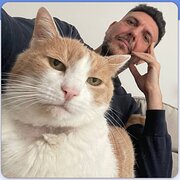 House Sitter - Experienced Sitter | Remote Worker | Ani