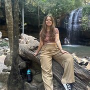 House Sitter - Responsible house sitter