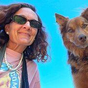 House Sitter - 🤎 Kelpie whisperer 🤎