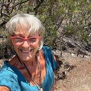 House Sitter - Louellyn