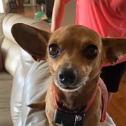 House Sitter - John and Simone