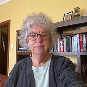 House Sitter - Active and quiet