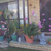 Home Owner wanting sitter in Brisbane, Queensland