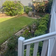 Home Owner wanting sitter in , Queensland