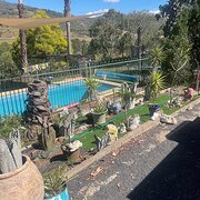 Home Owner wanting sitter in Tamworth, New South Wales