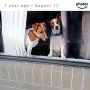 Home Owner wanting sitter in Taree, New South Wales