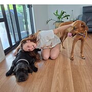 House Sitter - Caitlin 