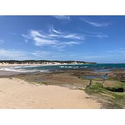 Home Owner wanting sitter in , New South Wales