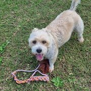 Home Owner wanting sitter in The Entrance, New South Wales