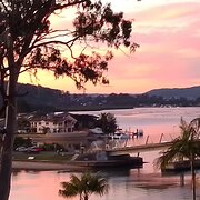 Home Owner wanting sitter in Sydney, New South Wales