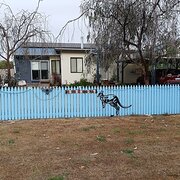 Home Owner wanting sitter in Albany, Western Australia