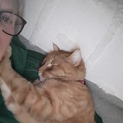 Home Owner wanting sitter in Geelong, Victoria