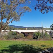 Home Owner wanting sitter in , New South Wales