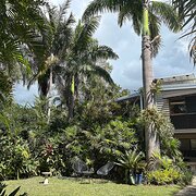 Home Owner wanting sitter in Brisbane , Queensland