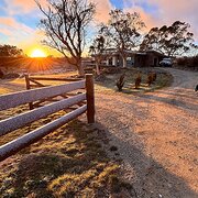 Home Owner wanting sitter in , New South Wales