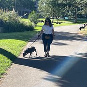 House Sitter - Semi-retired, reliable & respectful