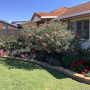 Home Owner wanting sitter in Brisbane, Queensland