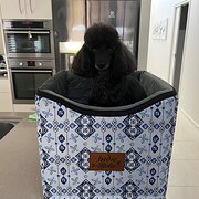 Home Owner wanting sitter in Coolum, Maroochydore, Queensland