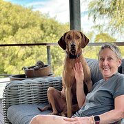 House Sitter - 5 Star House and Pet Sitting