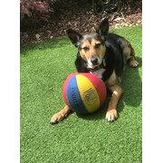 Home Owner wanting sitter in TOOWOOMBA, Queensland