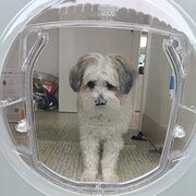 Home Owner wanting sitter in , New South Wales