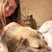 House Sitter - Pet sitter Travel nurse 