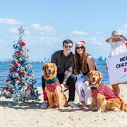 Home Owner wanting sitter in , Victoria