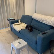 Home Owner wanting sitter in Coolongatta/ tweed heads, New South Wales