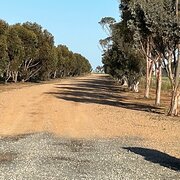 Home Owner wanting sitter in Port Pirie , South Australia