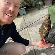 House Sitter - Meticulous Minder