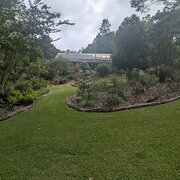 Home Owner wanting sitter in Brisbane, Queensland