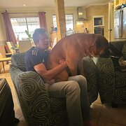 Home Owner wanting sitter in , Western Australia