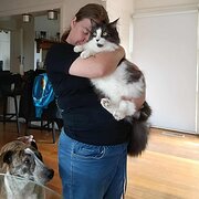 House Sitter - Experienced Housesitters