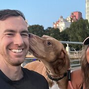 House Sitter - Quiet sitter – clean home, happy pets