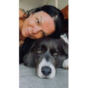 House Sitter - NikStarr